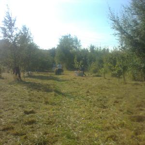 Photo0328