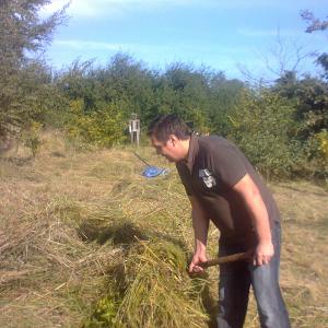 Photo0329