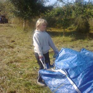 Photo0331